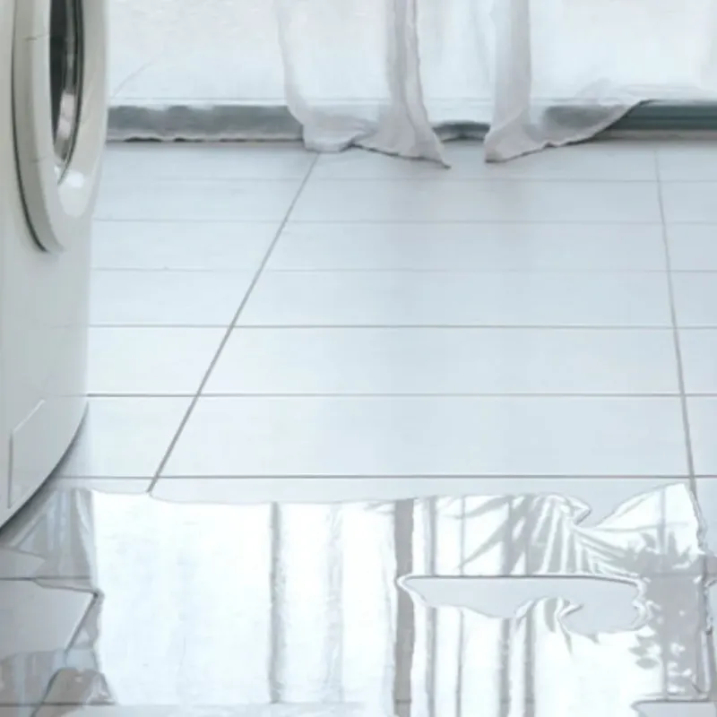 Appliance Leak Cleanup in Woodstock, VA