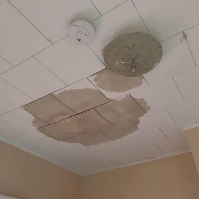 Ceiling Water Damage Repair in Woodstock, VA