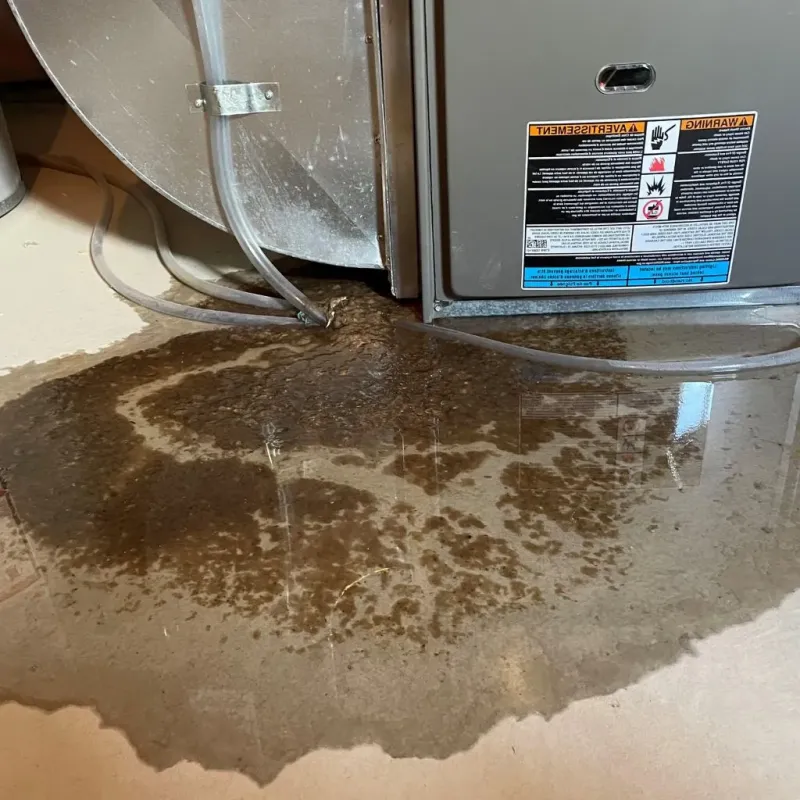 Pipe Burst and Leak Restoration in Woodstock, VA