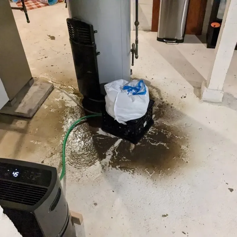 Sewage Backup Cleanup Service in Woodstock, VA